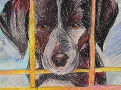 Klaudia Paciorkowska 1