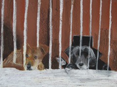 Zosia Kawełczyk (2)