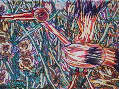 Emilia Banachowicz (3)