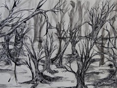 Aleksandra Łuszczyńska