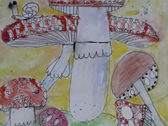 Katarzyna Zawadzka (12)